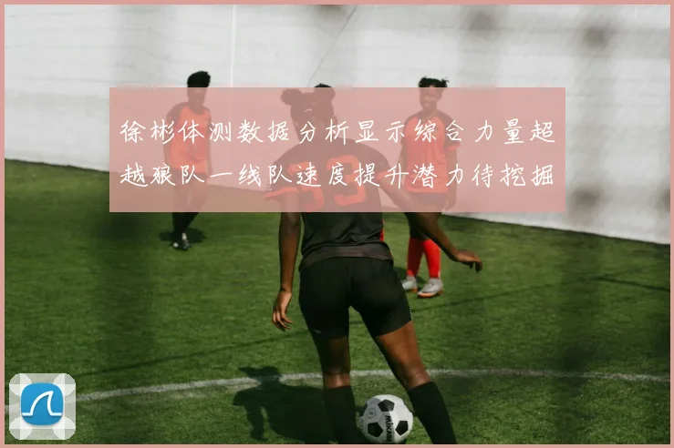 徐彬体测数据分析显示综合力量超越狼队一线队速度提升潜力待挖掘