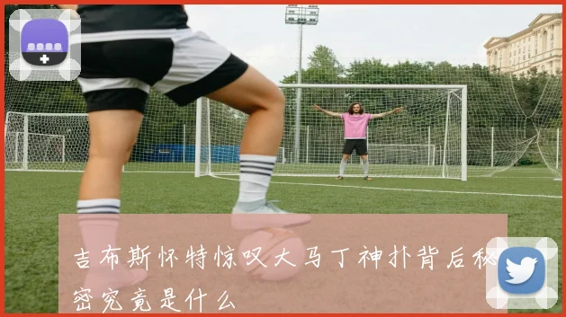 吉布斯怀特惊叹大马丁神扑背后秘密究竟是什么